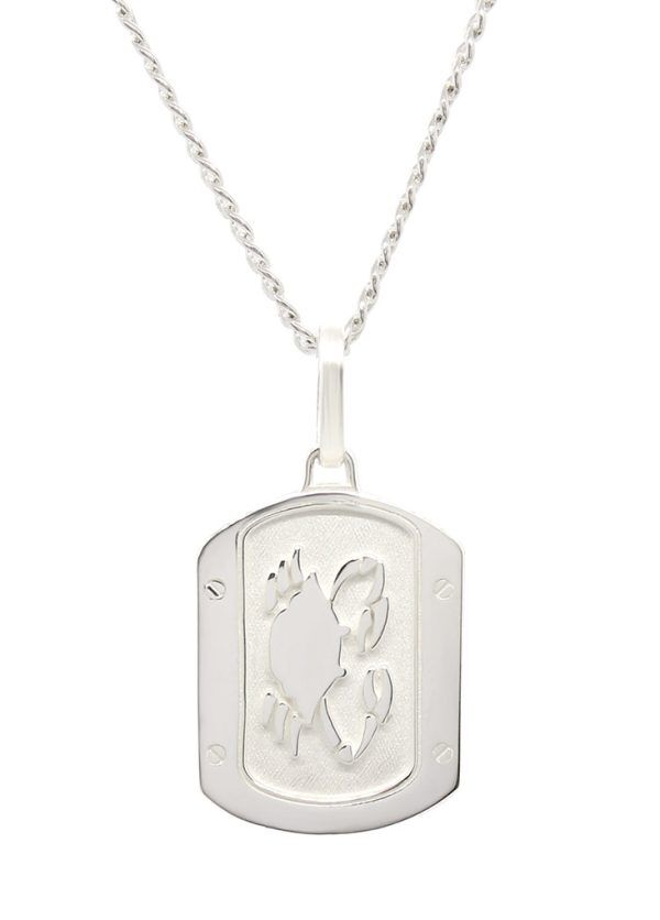 DIJE CANCER EN PLATA.925 CON CADENA